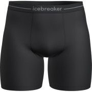 Herren-Boxershorts Icebreaker M Anatomica Long Boxers schwarz Black
