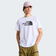 Herren-T-Shirt The North Face Evolution Half Dome Regular Short Slee