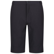 Herrenshorts Regatta Highton ShortLong M grau Seal Grey