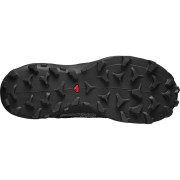Damenschuhe Salomon Wildcross Gtx