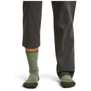 Damensocken Icebreaker W Mer Hike+ Light Crew
