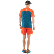 Herren-Funktionsshirt Dynafit Alpine Pro M