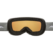 Skibrille Alpina Pheos S Q Lite