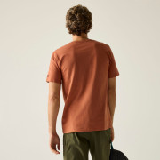 Herren-T-Shirt Regatta Cline IX
