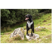 Hundegeschirr Mountain Paws Reflective Dog Harness