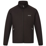 Herren-Sweatshirt Regatta Highton Lite II schwarz Ash
