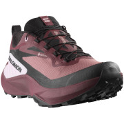 Damenschuhe Salomon Genesis Gore-Tex