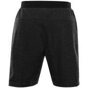 Herrenshorts Alpine Pro Thec