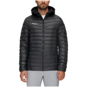 Herrenjacke Mammut Albula IN Hooded Jacket Men 2021