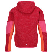 Kinder-Sweatshirt Regatta Dissolver VIII