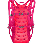 Trailrunningrucksack Salewa Ultra Train 14 BP