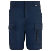 Herrenshorts Regatta Arlery Shorts dunkelblau Navy