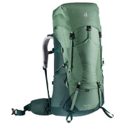 Damenrucksack Deuter Aircontact Lite 60+10 SL grün AloeForest