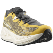 Herren Laufschuhe Salomon Aero Glide 4 Grvl
