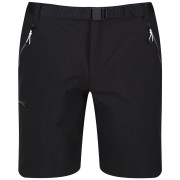 Herrenshorts Regatta Xert Stretch Shorts III schwarz Black
