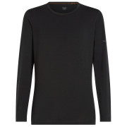 Herren-Funktionsshirt Icebreaker M Mer Core Heavyweight LS Crewe schwarz Black