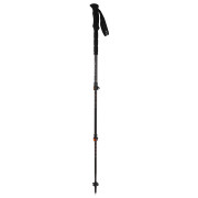Trekkingstöcke Camp Backcountry Pro 2