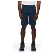 Herrenshorts Regatta Highton ShortLong