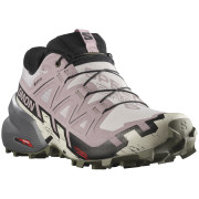 Damen Laufschuhe Salomon Speedcross 6 Gore-Tex schwarz/rosa Ashes Of Roses / Black / Olive Night