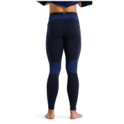 Herreunterhose Icebreaker Mens 260 Zone Leggings 2021