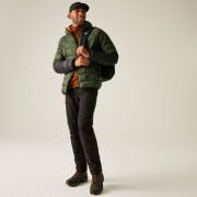 Herrenjacke Regatta Hooded Dalent