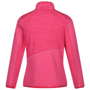 Damen-Sweatshirt Regatta Wmn Yare IX