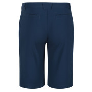 Herrenshorts Regatta Highton ShortLong