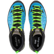 Herrenschuhe Salewa Ms Mtn Trainer 2 Gtx