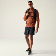 Herren-Funktionsshirt Dare 2b Power Up IV Jersey braun ArabianSpice