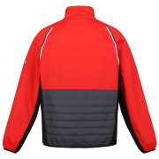 Herrenjacke Regatta Steren Hybrid