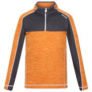 Kinder-Sweatshirt Regatta Hewley orange Orange Pepper/Seal Grey