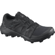 Herrenschuhe Salomon Wildcross GTX schwarz Black