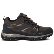 Herrenschuhe Regatta Holcombe 3 Low