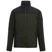 Herren-Sweatshirt Regatta Highton Full Zip Midlayer dunkelgrün DarkKhak/Blk