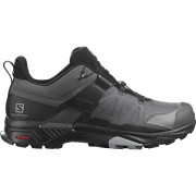 Herrenschuhe Salomon X Ultra 4 Gore-Tex