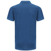 Herren-T-Shirt Alpine Pro Roned