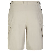 Herrenshorts Dare 2b Tuned In Short II