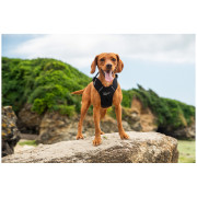 Hundegeschirr Mountain Paws Dog Harness