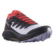 Herren Laufschuhe Salomon Pulsar Trail/Pro