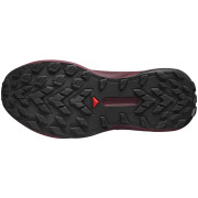 Damenschuhe Salomon Genesis Gore-Tex