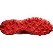 Herren Laufschuhe Salomon Spikecross 5 Gore-Tex