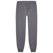 Herren-Jogginghose 4F Trousers M0943 grau Grey