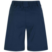 Damenshorts Dare 2b Womens Torrek Short