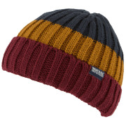 Wintermütze Regatta Davion Hat V