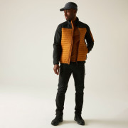 Herrenjacke Regatta Ceden Hybrid