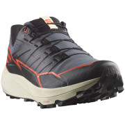 Herren Laufschuhe Salomon Thundercross Gore-Tex schwarz/rot Turbulence / Black / Cherry Tomato