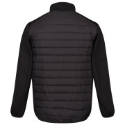 Herren-Winterjacke Regatta ClumberIII Hybrid