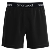 Smartwool Men's Merino Boxer Boxed