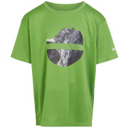 Kinder-T-Shirt Regatta Alvarado VIII grün Piquant Green