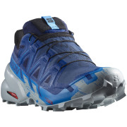 Herren Laufschuhe Salomon Speedcross 6 Gore-Tex